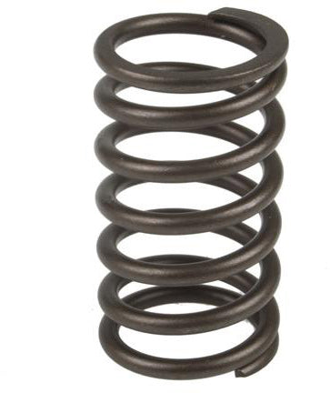 VALVE SPRING